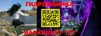 эйфоретик Гусев