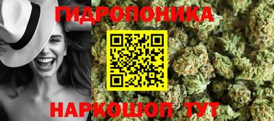 apvp Гусиноозёрск
