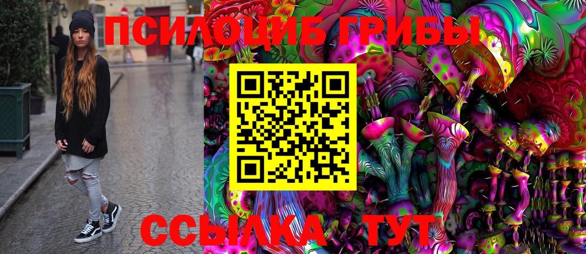 что такое   Донской  Псилоцибиновые грибы прущие грибы  Псилоцибиновые грибы GOLDEN TEACHER 