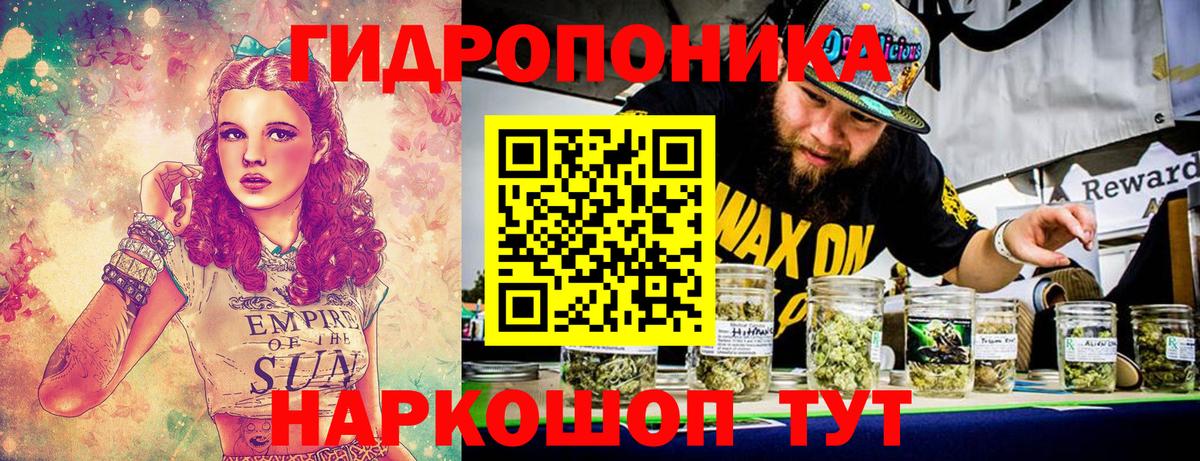 Бошки марихуана MAZAR  Шишки марихуана планчик  Донской  Канабис ГИДРОПОН  Вход с VPN 
